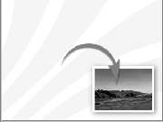 baldarelli009002.gif